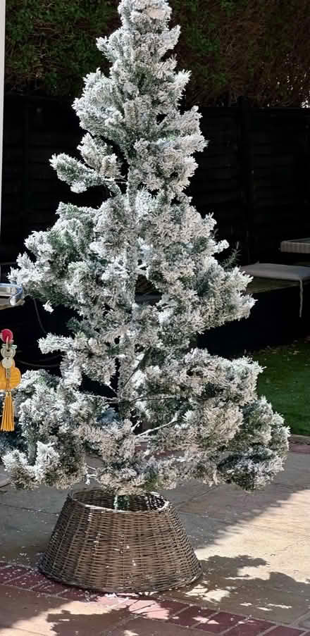 Photo of free Christmas tree over 6 ft (Latchmere SW11) #4