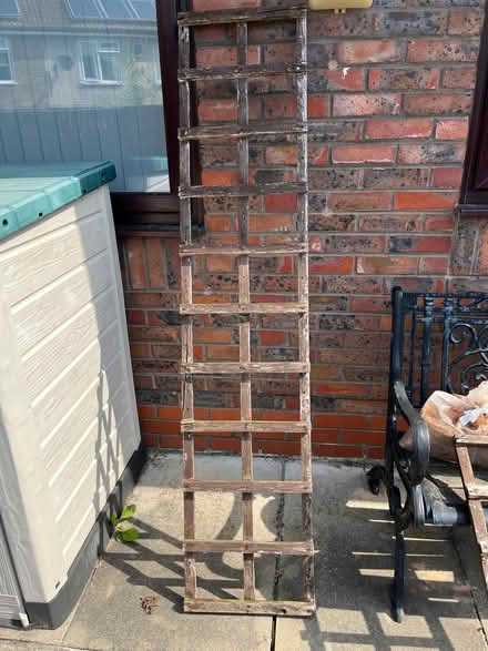 Photo of free Garden trellis (Knotty Ash L14) #2