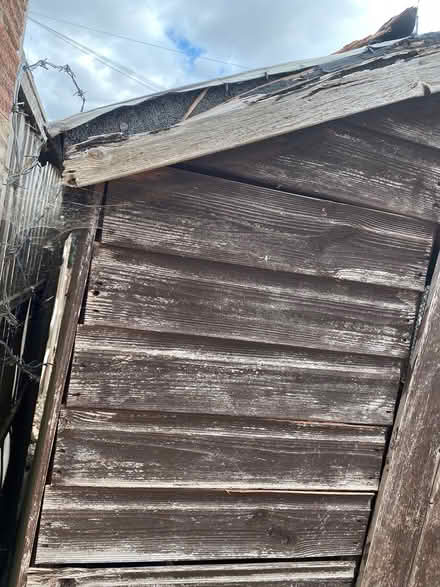 Photo of free 6ft by 8ft garden shed (Lincoln LN6) #4
