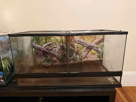 Photo of free 40 gallon reptile terrarium (Roslindale) #1