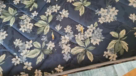 Photo of free Queen size mattress (Nepean) #4