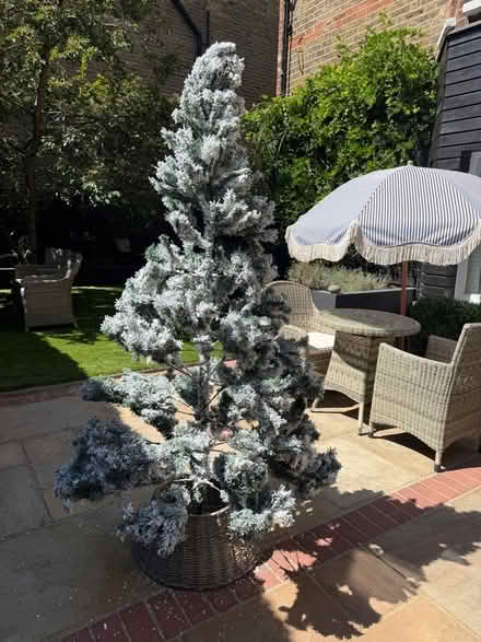 Photo of free Fake Christmas tree with cane basket (Latchmere SW11) #1