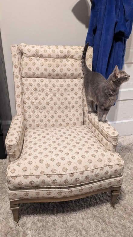 Photo of free perfectly adequate reading chair (Edgewater) #2