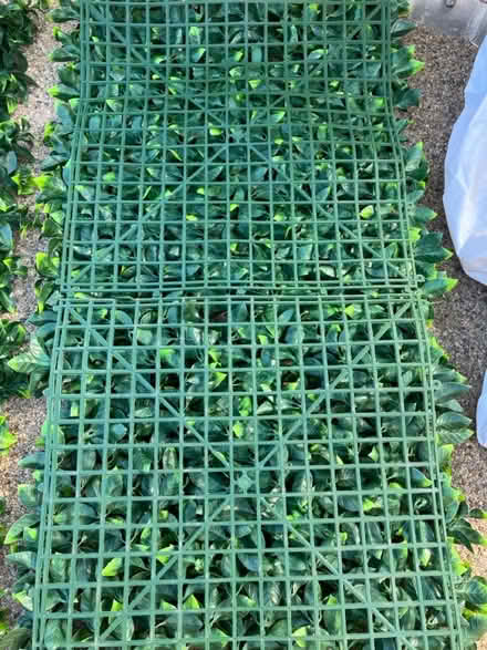Photo of free 2x artificial foliage panels (Morden SM4) #2