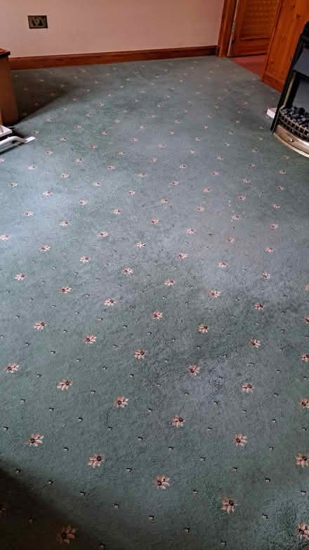 Photo of free Green carpet (BR5 St Mary Cray) #1