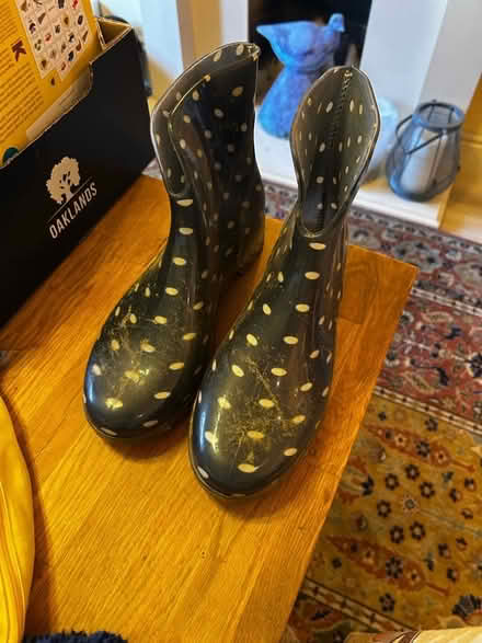 Photo of free Ankle wellies size 8 / 42 (Malvern Link WR14) #1
