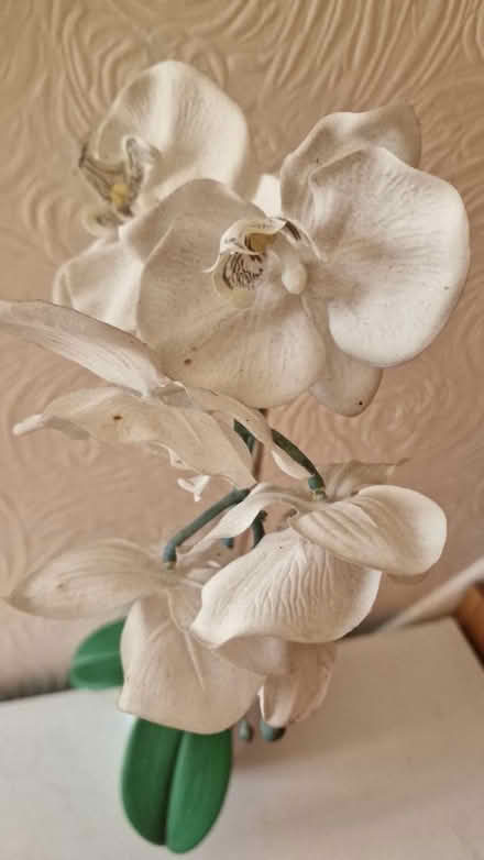 Photo of free Fake orchid (Earl Shilton, LE9) #2