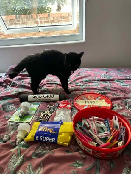Photo of free Household items of any wants them (Birkenhead CH42) #1