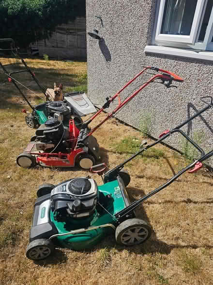 Photo of free Lawn mowers (Devizes SN105SA) #1