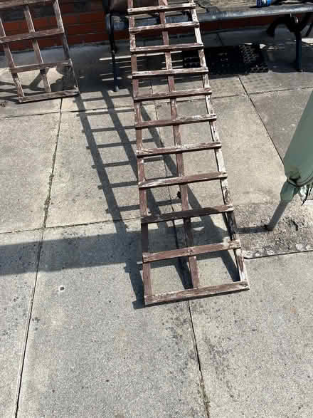 Photo of free Garden trellis (Knotty Ash L14) #1