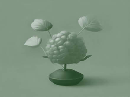 Photo of Raspberry Bush (Garston L19) #1