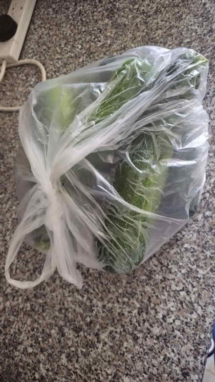 Photo of free courgette (Wembley HA9) #2