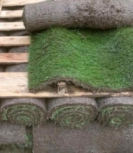 Photo of Turf (Waterlooville PO7) #1