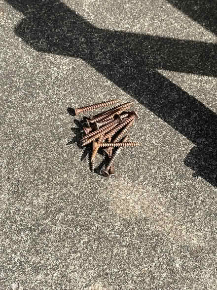 Photo of free Garden trellis (Knotty Ash L14) #3