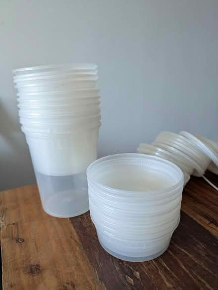 Photo of free Plastic Containers (Crown Heights, Brooklyn) #1
