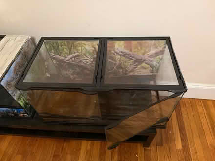 Photo of free 40 gallon reptile terrarium (Roslindale) #4