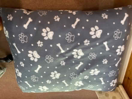 Photo of free Dog/pet bed 85x70cm (North Bretton PE3) #1
