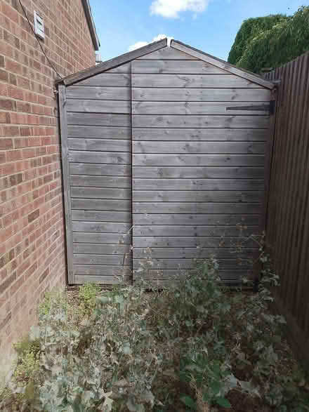 Photo of free shed/workshop (Downham Market PE38) #3