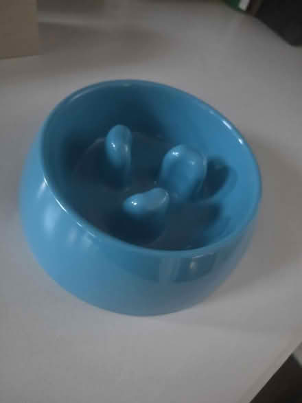 Photo of free Small blue speed/slow bowls for dog (Plano) #1