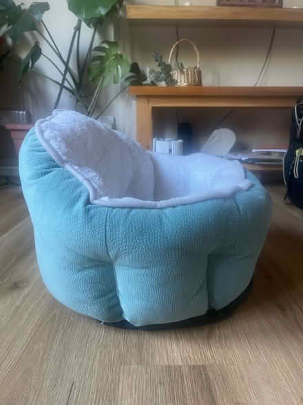 Photo of free Cat bed (Canonbury N1) #3