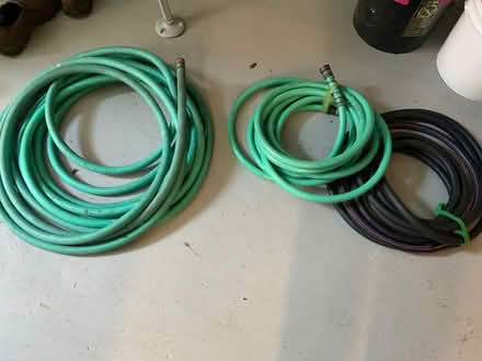 Photo of free hoses (West Medford) #1