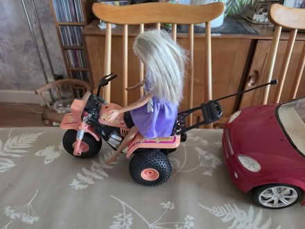 Photo of free Cindy Dolls etc (Melksham SN12) #2