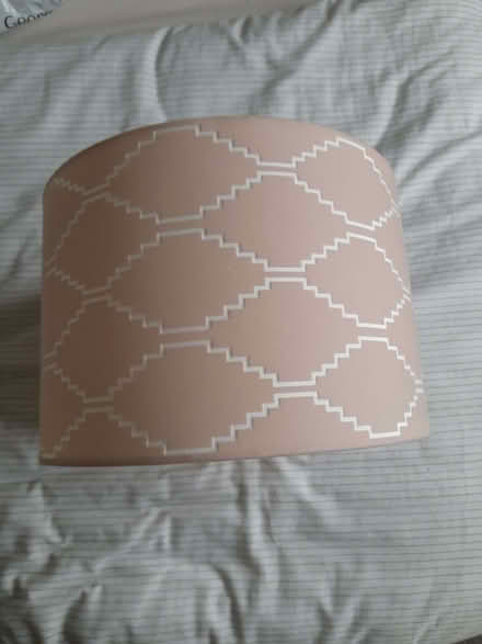 Photo of free Pink flock lampshade (Warden Hill GL51) #2