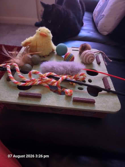 Photo of free Cat toys (Southall, UB2) #1