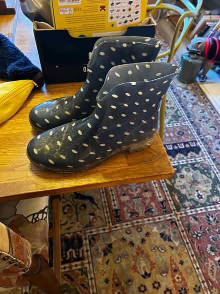 Photo of free Ankle wellies size 8 / 42 (Malvern Link WR14) #2