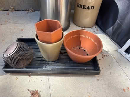 Photo of free pots and watering trays (UpperHale GU9) #1