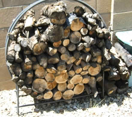 Photo of free fire wood (Granville) #2