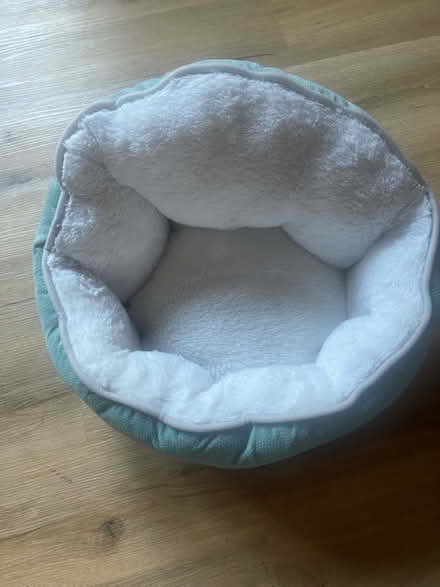 Photo of free Cat bed (Canonbury N1) #2
