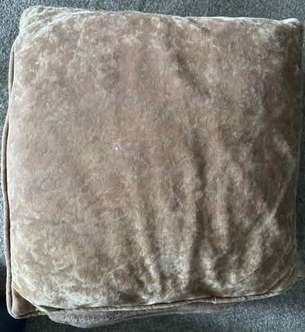 Photo of free Cushions x 5 (Great Hollands RG12) #2