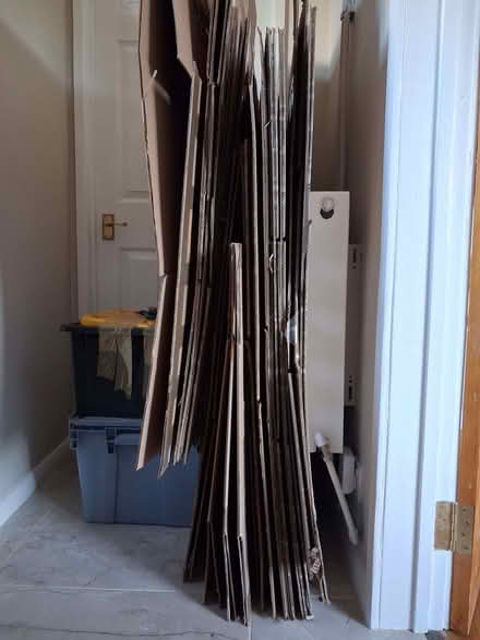 Photo of free Packing/Moving Boxes (South Malling BN7) #2