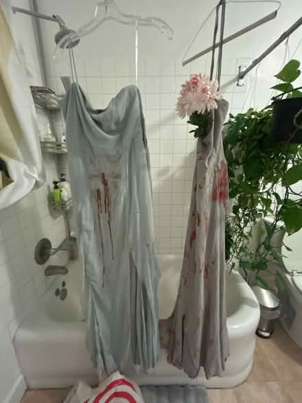 Photo of free Halloween costume dresses (Atwater Village) #1