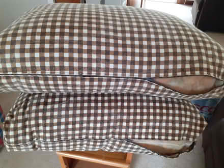 Photo of free oversize cushions with cut foam filling (Bridge Of Earn PH2) #2