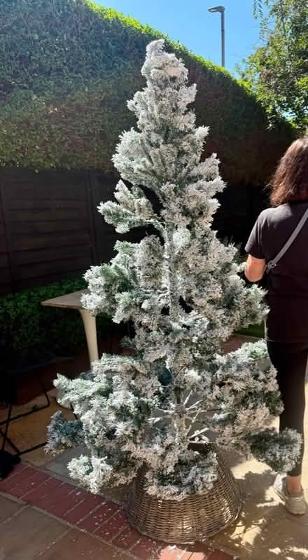 Photo of free Christmas tree over 6 ft (Latchmere SW11) #2