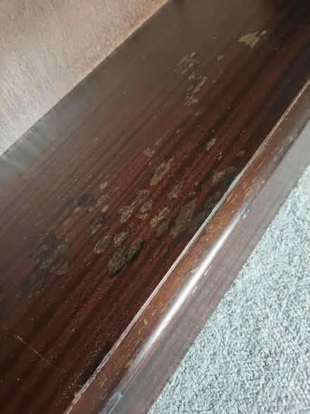 Photo of free dark brown strong book shelves (Leatherhead KT22) #4