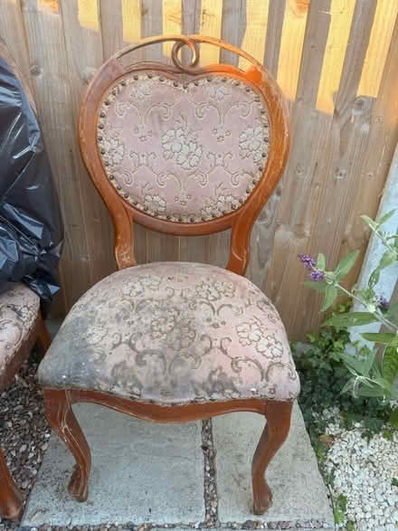 Photo of free 4 of these dining chairs (Oswestry SY11) #1