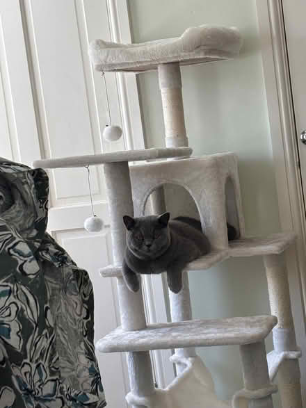 Photo of free Cat tower (Brompton ME7) #1