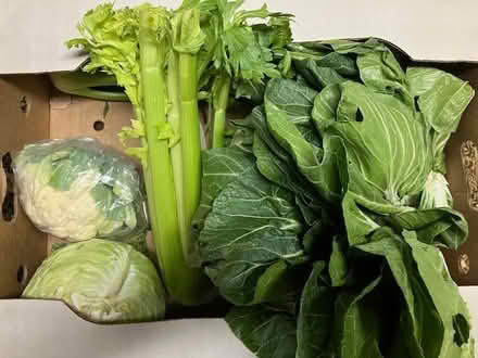 Photo of free greens and more (Las Palmas Pk, Snvle) #1