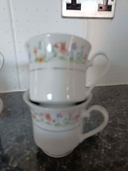 Photo of free Tea cup and saucer set (Bramhall SK7) #4