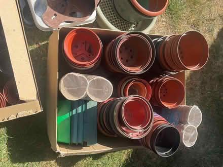 Photo of free Gardening Job Lot (Strood ME2) #3