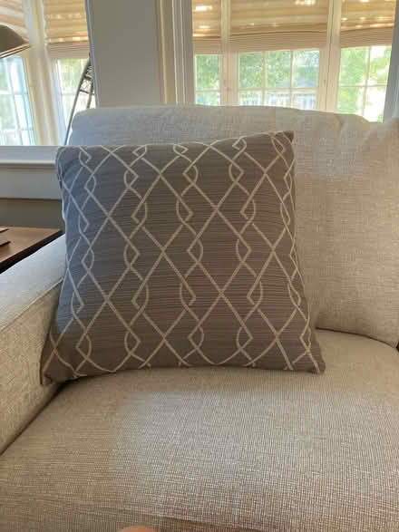 Photo of free Gray throw pillow (Havertown) #1