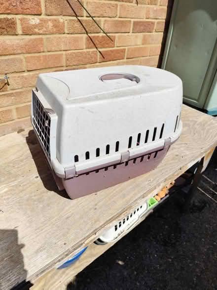 Photo of free Cat carrier (Tonbridge TN10) #1