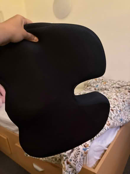 Photo of free Seat cushion (Moorfields L3 2EZ) #1