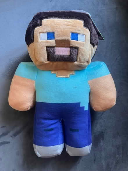 Photo of free Soft toys (HP22 Wendover) #2
