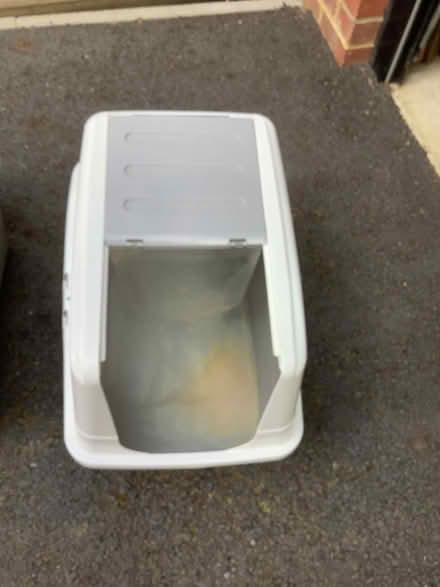 Photo of free Cat litter box (Hampden Park BN22) #2