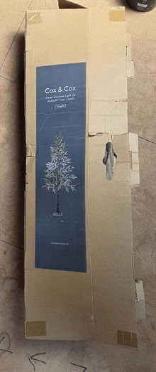Photo of free Indoor small light up christmas tree (North Laine BN1) #1