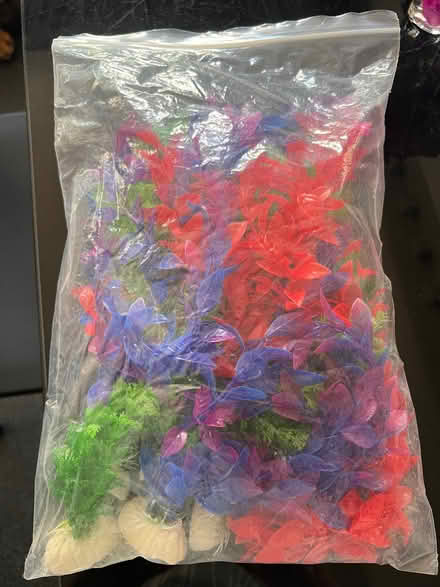 Photo of free Assorted artificial plastic plants designed for aquarium dec (Fobbing SS17) #2